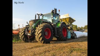 KUKORICA ARATÁS SZEMROPPANTÁS Fendt 724  Romill CP2 quotPinkamenti Agrár Kftquot [upl. by Ramuk]