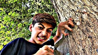 ASMR NEW STYLE TREE MASSAGE  PAKISTANI MASSAGE  BY SHASMR [upl. by Secnirp213]