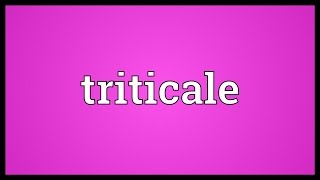 Triticale Meaning [upl. by Elocel]