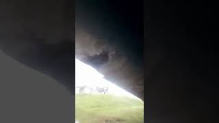 Cupim de aço kkk automobile truck shorts caminhoneiro caminhão acidity asmr [upl. by Ira]