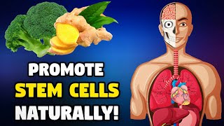 Stem Cell Secrets Foods to Unlock a Longer and Healthier Life [upl. by Garcia296]