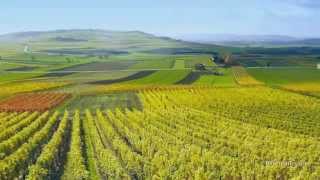 Travel Guide Rhineland Germany  Romantic Germany Wonderful Wine [upl. by Anawak438]