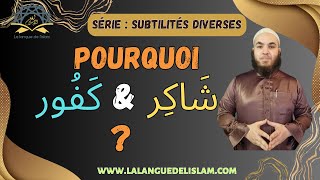 Subtilité n°16  Pourquoi Cette Différence De Schème Entre شَاكِر amp كَفُور [upl. by Elia783]