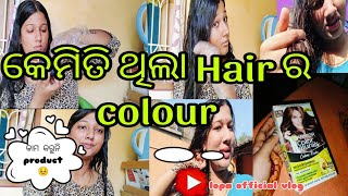 କେମିତି ଥିଲା ମୋ hair colour 🫣 Garnier colour natural 532 🤷 My Personal review 😣। Step by step 😺 [upl. by Ninnahc]