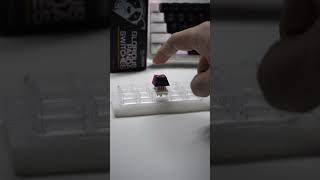 Gateron pro red switch sound test shorts [upl. by Leoj]