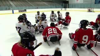 For Paralympic players a hockey game with sleds [upl. by Lleznol]