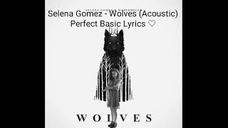 Selena Gomez  Wolves Acoustic Lyrics [upl. by Einahpts]