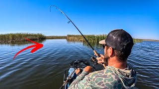 Winter Time Fishing Escambia River with Deep Diving Crankbaits [upl. by Anom]