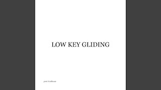 Low Key Gliding feat Hal Walker [upl. by Animahs]