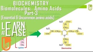 Biomolecules Amino Acids Part3 Essential amp Uncommon amino acids [upl. by Buckden]