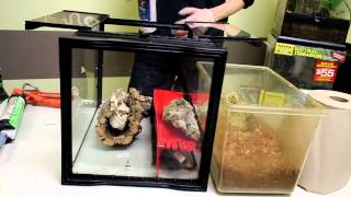 How To Build Your Own Naturalistic Water Feature Terrarium [upl. by Tillo153]