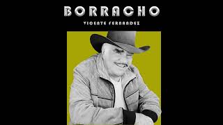 Vicente Fernandez  Borracho Regional Mexicano 2023 [upl. by Mahon496]