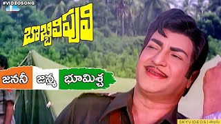 Bobbili Puli Movie Janani Janmabhoomischa Song NTR Sridevi skyvideostelugu [upl. by O'Dell206]