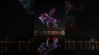 Disney drone light show disney dreams that soar [upl. by Riek]