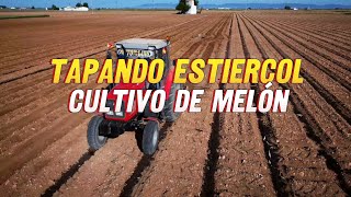 Cómo Incorporar abono orgánico al suelo para MEJORAR Cultivo de melón 🌱🍈✅️ [upl. by Enyluqcaj]