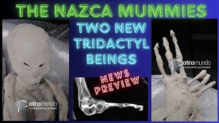 Nazcamummies  Two new tridactyl beings  news preview [upl. by Leunamme227]