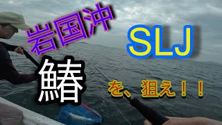 2024 岩国沖 SLJ 4戦目！！サワラ 岩国沖 slj [upl. by Llyrat]