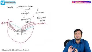 21 Arterial Development amp Anomalies🫀✨  Embryology 🩺 [upl. by Hajed]