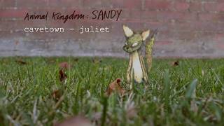 Juliet by Cavetown Official Audio  Animal Kingdom [upl. by Nannahs183]