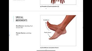 84  Synovial Joints [upl. by Llerrac650]