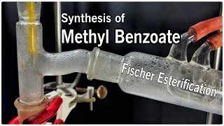 Methyl Benzoate  Organic Synthesis Fischer Esterification [upl. by Lauralee727]