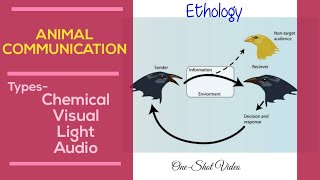 Animal CommunicationChemical Visual Light and AudioBsc MscEthologyAnimal BehaviourOneShot [upl. by Evelunn643]