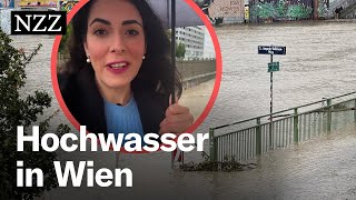 Hochwasser in Wien Nicht die Donau ist das Problem – sondern der Wienfluss [upl. by Eno]