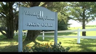 The Woodhill Farms Story [upl. by Narad]