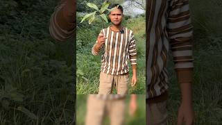 Planting 20000 🌳Trees 🌳in india 🇮🇳  Best Tree 🌳 for forest animals livetree planttrees [upl. by Croom]