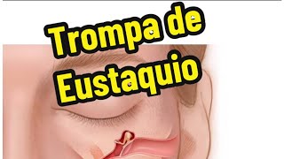 Trompa de Eustaquio [upl. by Eyma]