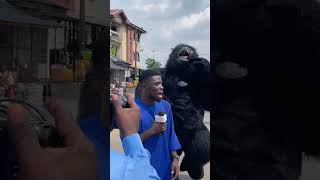 Oba omega attacked by a Gorilla at okochiri kindom in Rivers state [upl. by Vano340]