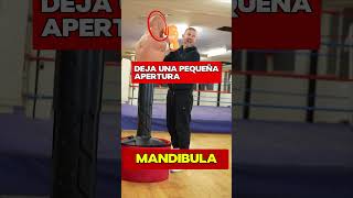 Cómo Superar a Tu Oponente en el Boxeo [upl. by Also776]