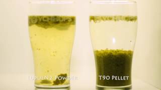 Timelapse Luppolina Cryo Hops™ VS T90 Pellets [upl. by Ursi]