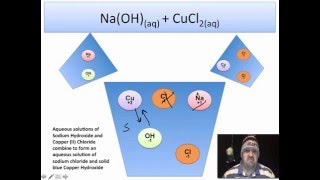 How to Write Total and Net Ionic Equations [upl. by Nylaf435]