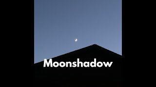 Cat Stevens  Moonshadow [upl. by Auqenes]