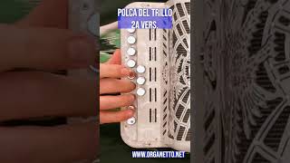 Shorts  2 e 4 Bassi  POLCA DEL TRILLO  2a Versione  Accordion Diatonic organetto [upl. by Idnek]