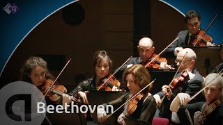 Beethoven Symphony no5  Heinrich Schiff conductor HD [upl. by Peder]