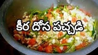 కీర దోసకాయ పచ్చడి  Dosavakaya Recipe  Cucumber Pickle  Easy keera Dosakaya pachadi [upl. by Bellanca853]