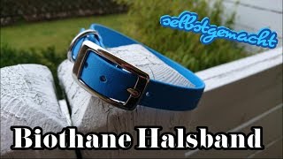 Biothane Halsband selbstgemacht  Anleitung  DIY [upl. by Gorski]