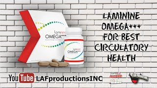 Laminine OMEGA  Best Omega 369 Supplement  Circulatory Health [upl. by Ratcliffe757]