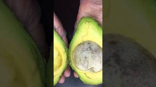 Guacamole 🥑 recipe avacado food cooking easyrecipe [upl. by Brechtel]