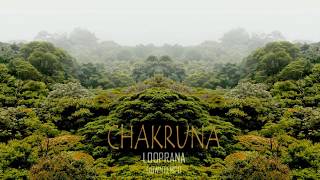 LOOPRANA  Chakruna Hybrid Session [upl. by Conan]