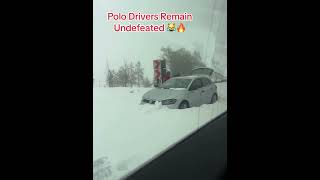 Polo Drivers Remain Undefeated 😹🔥 [upl. by Sammer]