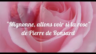 Mignonne allons voir si la rose de Pierre de Ronsard  Lessentiel en moins dune minute [upl. by Aneeh750]