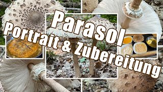 Parasol zubereiten  Verwechslung amp Portrait  Gemeiner Riesenschirmling Macrolepiota procera [upl. by Caresse292]