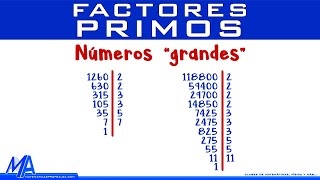 Factores primos de un número quotgrandequot [upl. by Lothario]