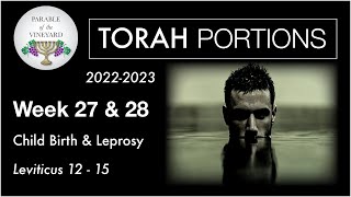 Torah Portions  Week 27 amp 28  Babies Leprosy amp Verity  Leviticus 1215 20222023 [upl. by Laurene]