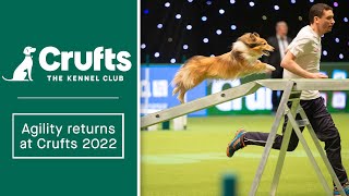 Can you and your dog do this Agility returns at Crufts 2022 [upl. by Samot]