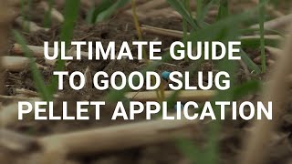 Ultimate guide to good slug pellet application [upl. by Lubbi]