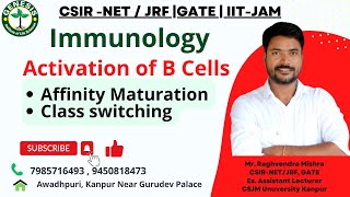 BCell Activation amp Differentiation  Affinity Maturation  Class Switching  Immunology  L24 [upl. by Itram91]